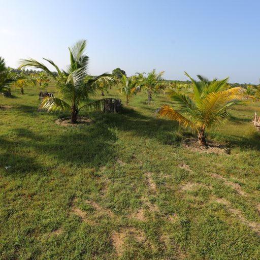 Hotel Kayjay Palms Passikudah Exteriér fotografie
